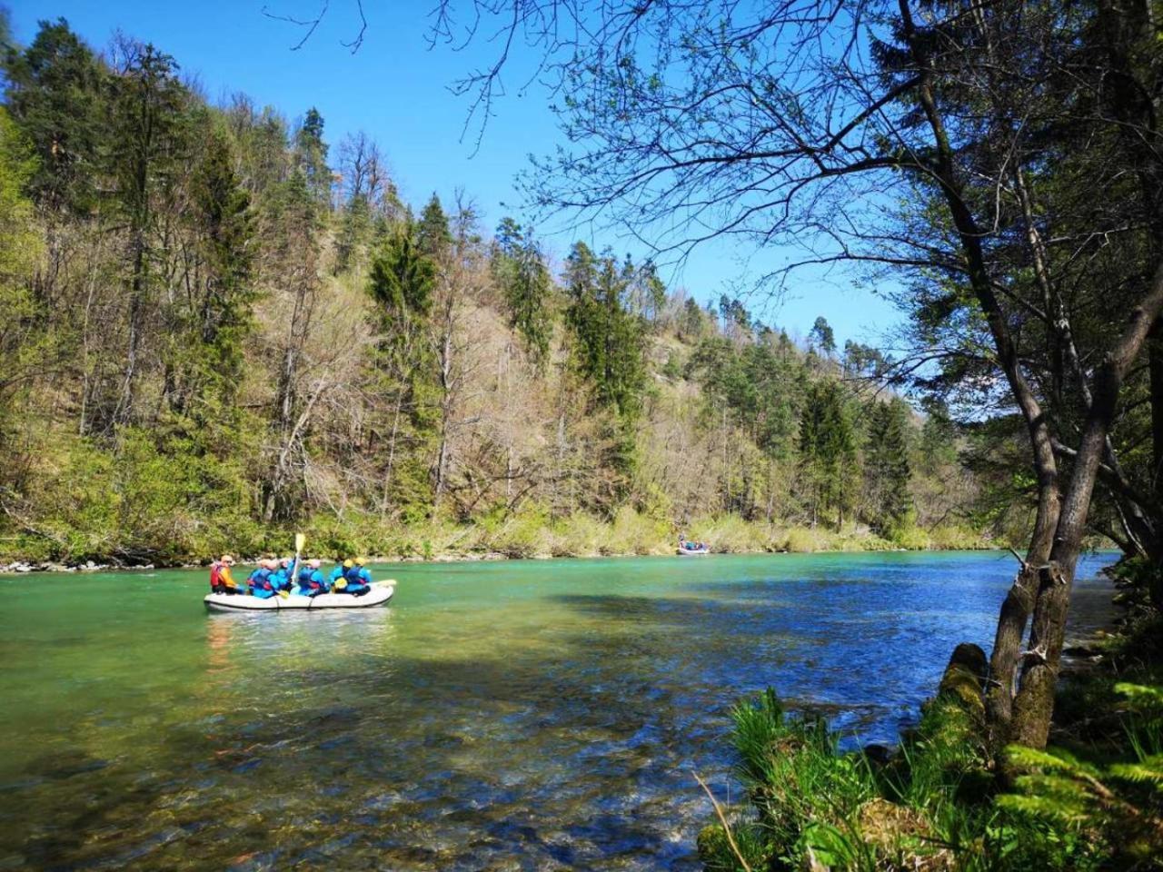 Eco River Camp - Pitches Radovljica Exteriör bild